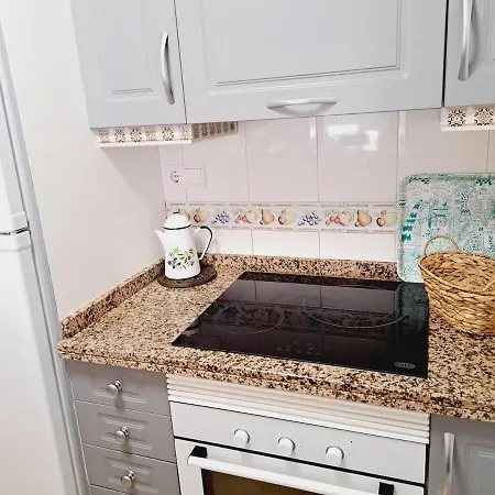 House With Palm Tree Torrevieja