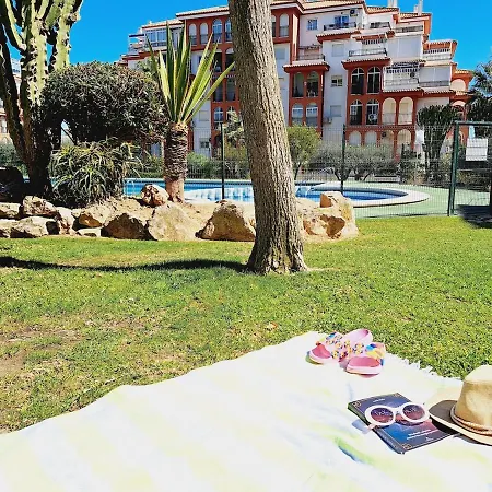 House With Palm Tree