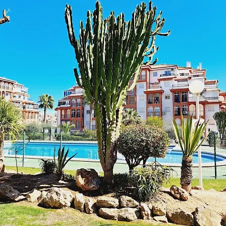 House With Palm Tree