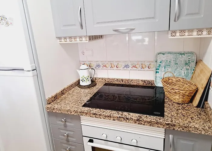 House With Palm Tree Torrevieja