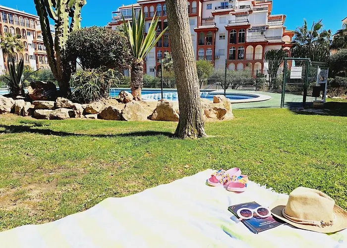 House With Palm Tree