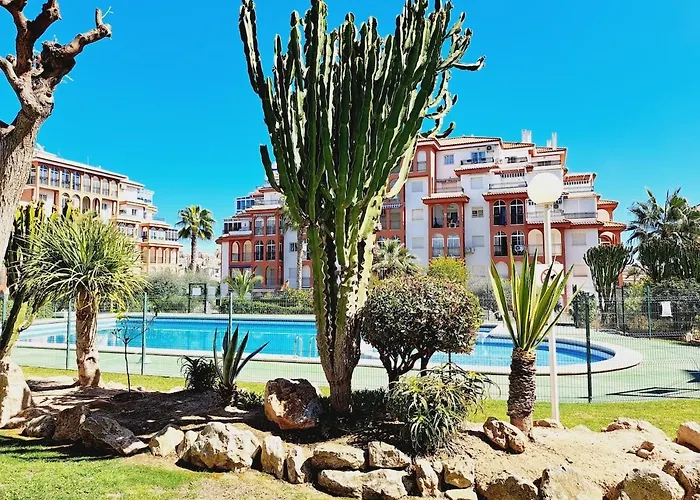 House With Palm Tree