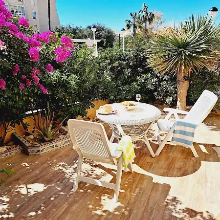 House With Palm Tree Apartman Torrevieja