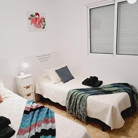 House With Palm Tree Apartman Torrevieja